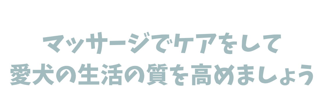 マッサージでケアをして愛犬の生活の質を高めましょう。